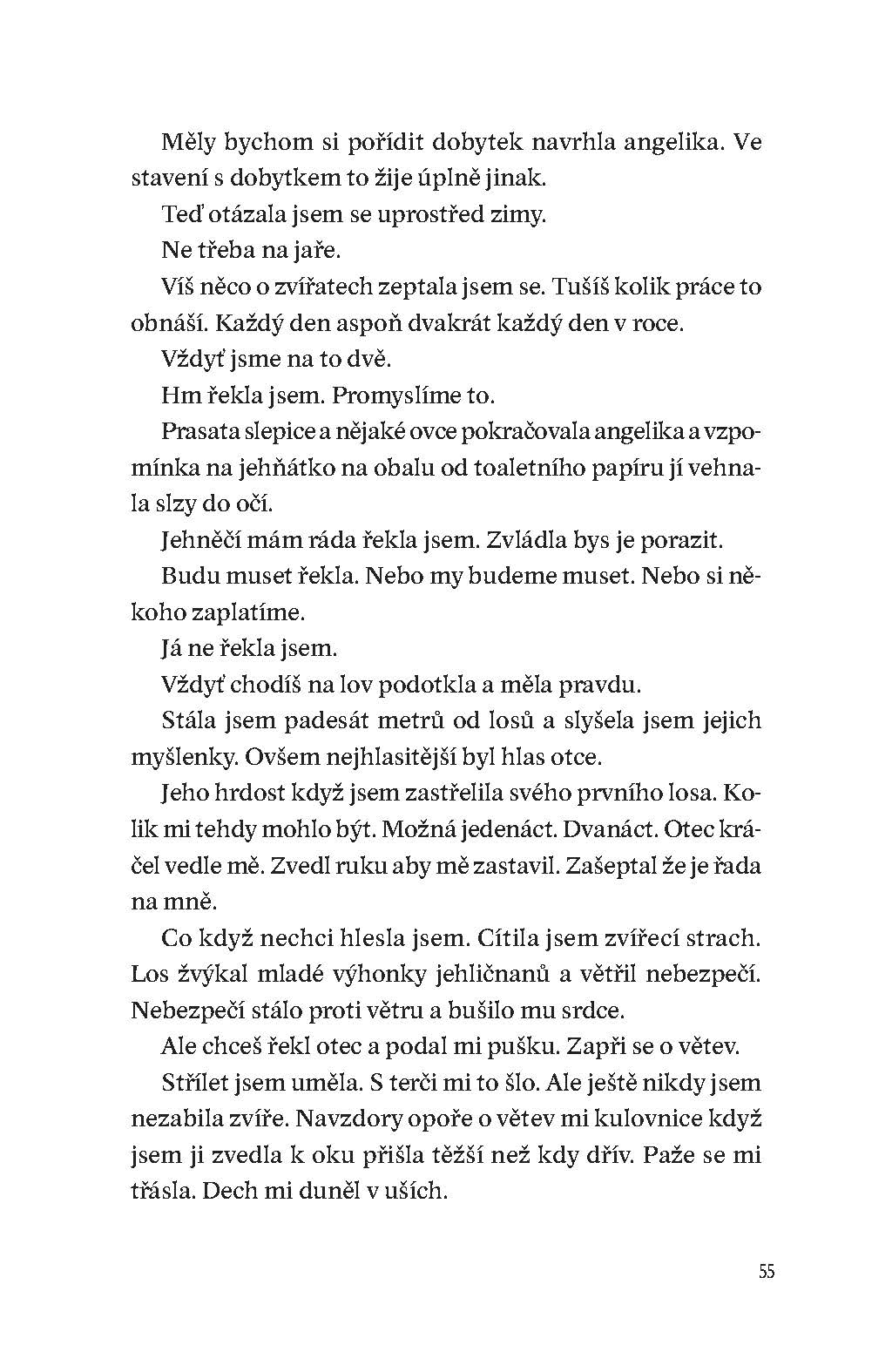 Návrat domů
