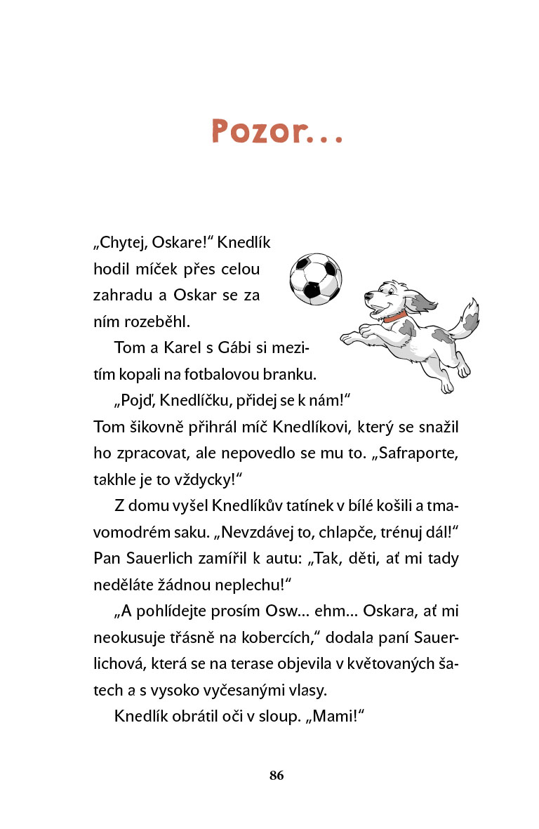 Poplach ve vilové čtvrti