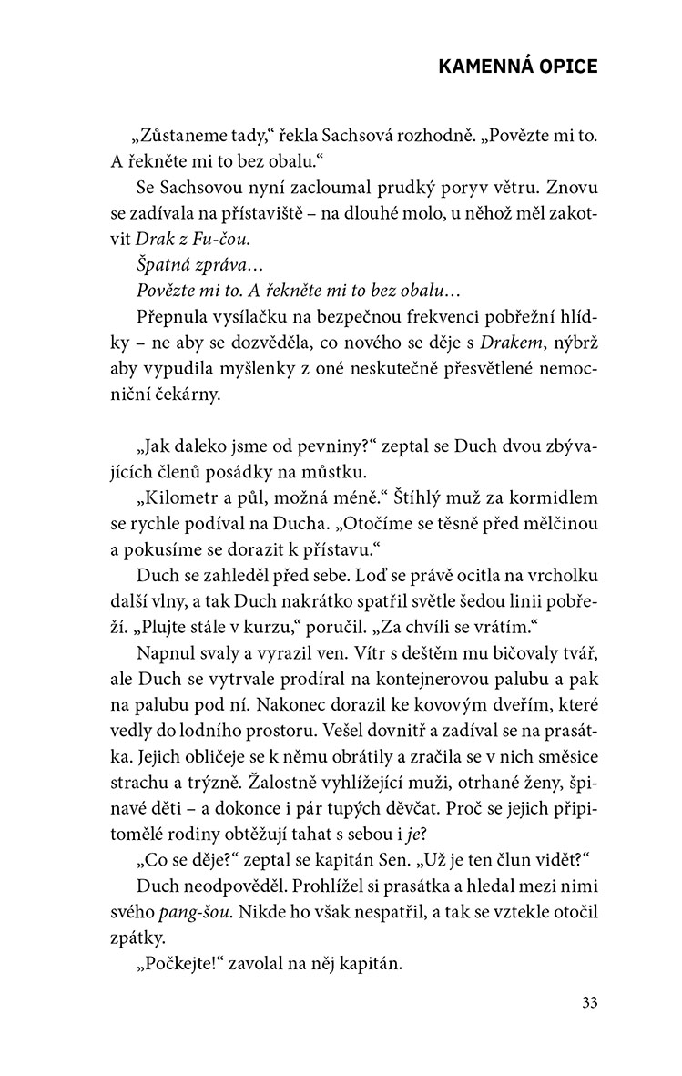 Kamenná opice