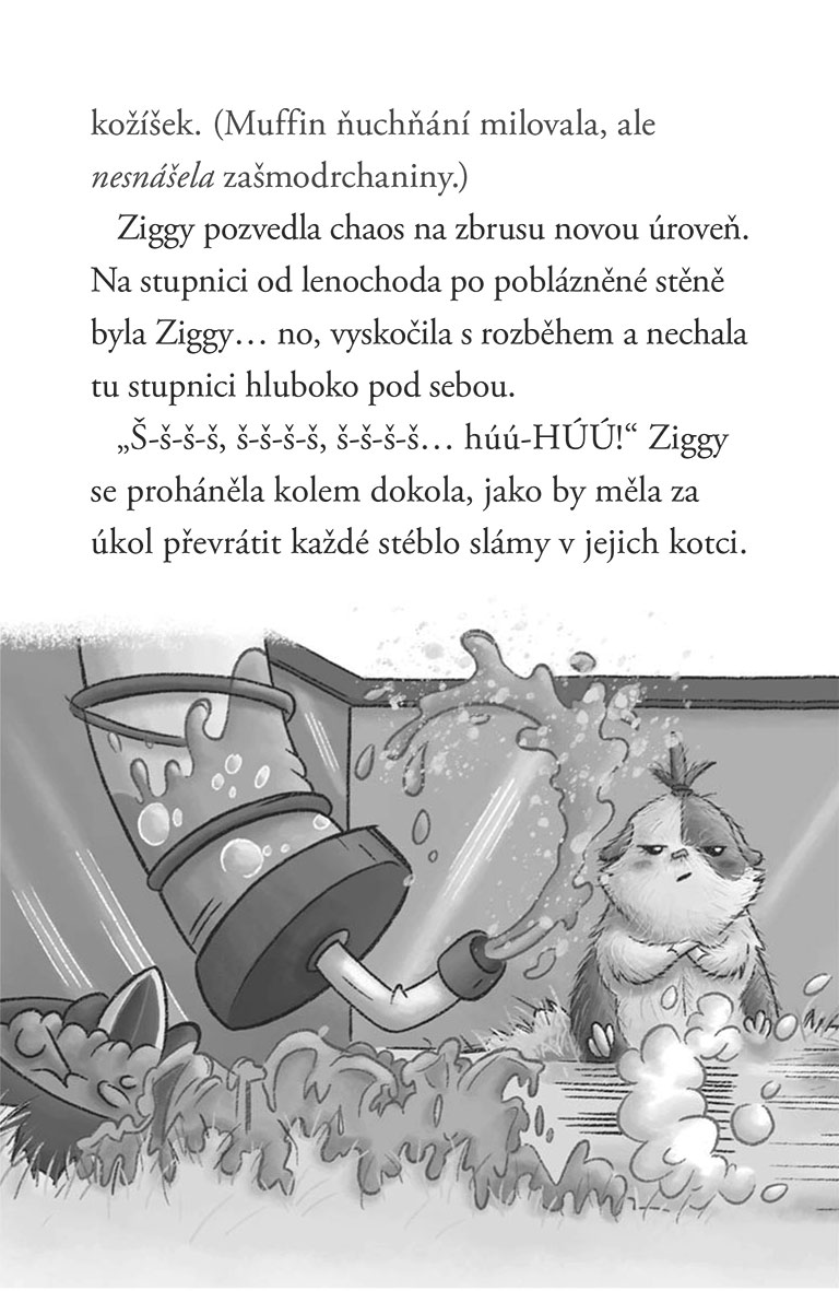 Třpytivá morčátka – Mrkvičkový sen
