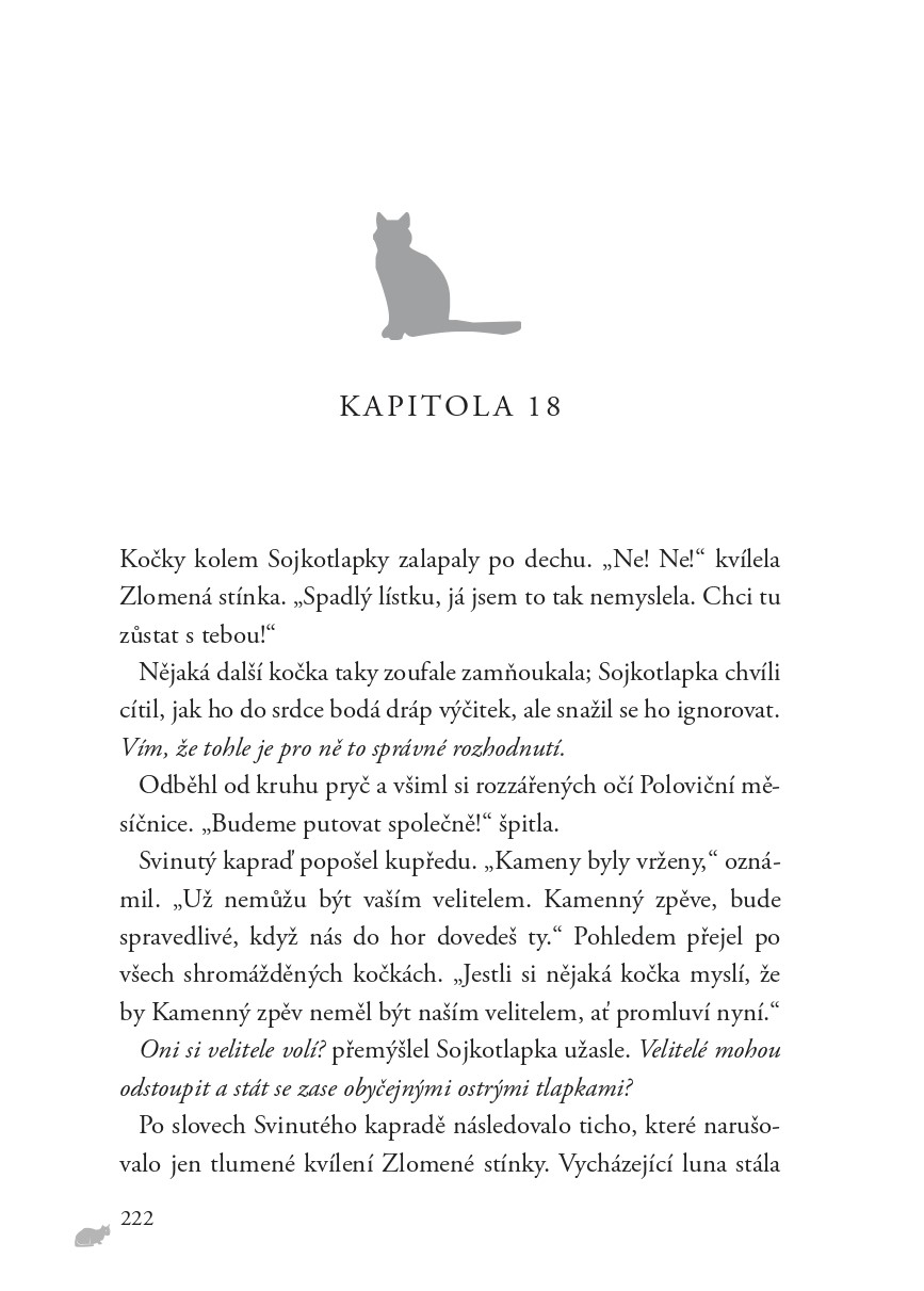 Kočičí válečníci: Síla tří (5) – Dlouhé stíny