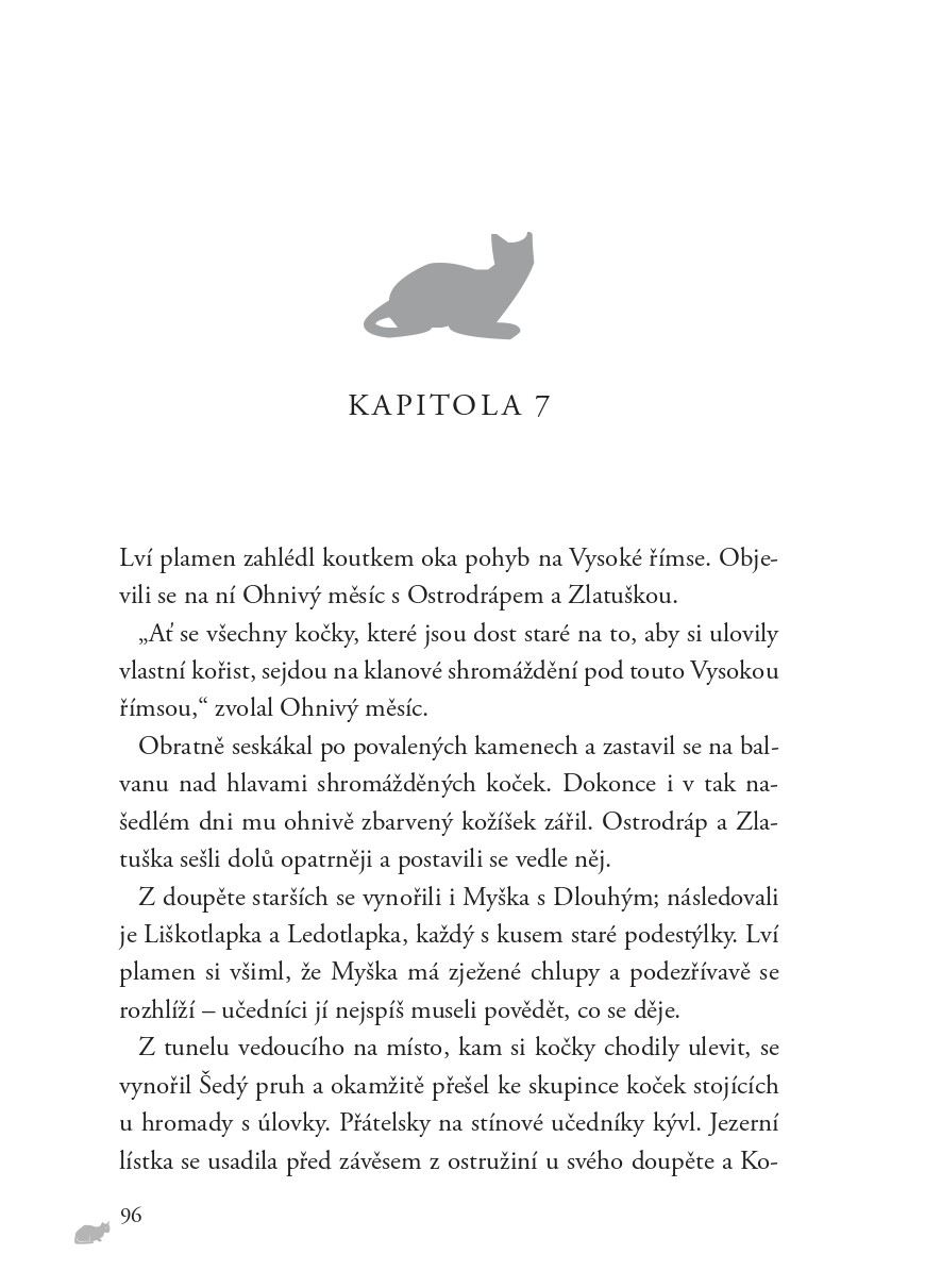 Kočičí válečníci: Síla tří (5) – Dlouhé stíny