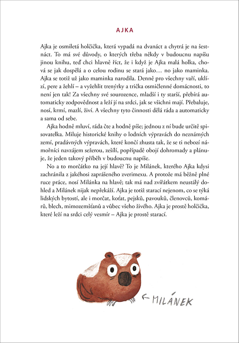 Emilka a záhada mizejících dětí