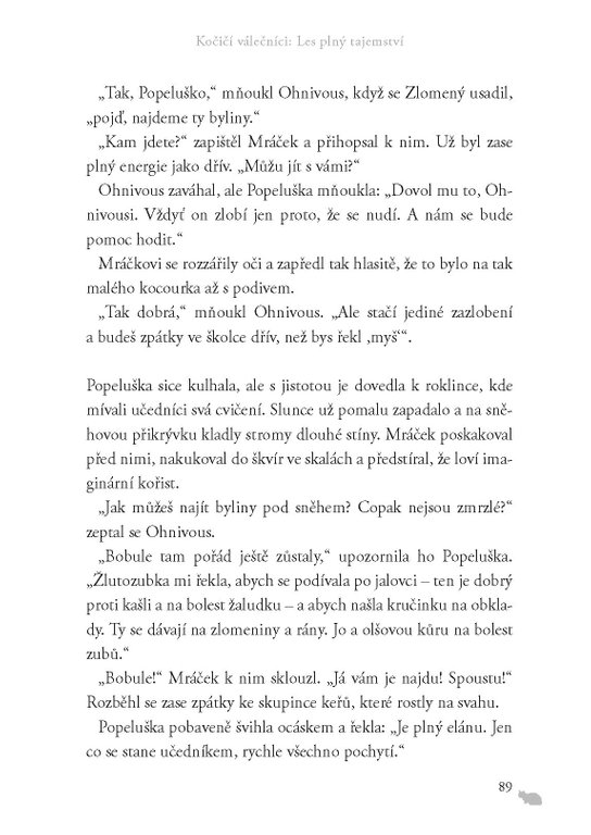Kočičí válečníci (3) - Les plný tajemství