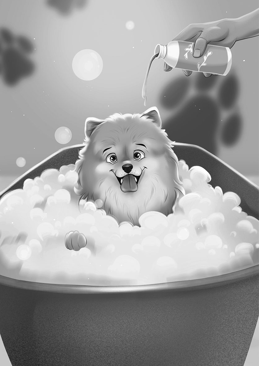 Hledá se pomeranian Lumpík