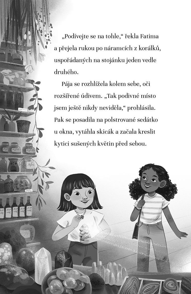Ochránkyně snů: Tajemství Měsíčního lesa