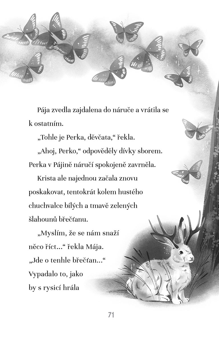 Ochránkyně snů: Tajemství Měsíčního lesa