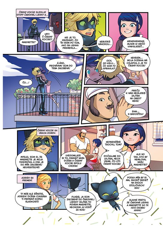 Čarovná Lienka a Čierny Kocúr - Komiksové príbehy 6