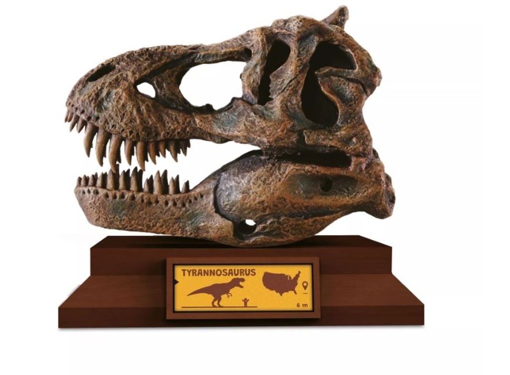 Lovci Lebek Tyrannosaurus