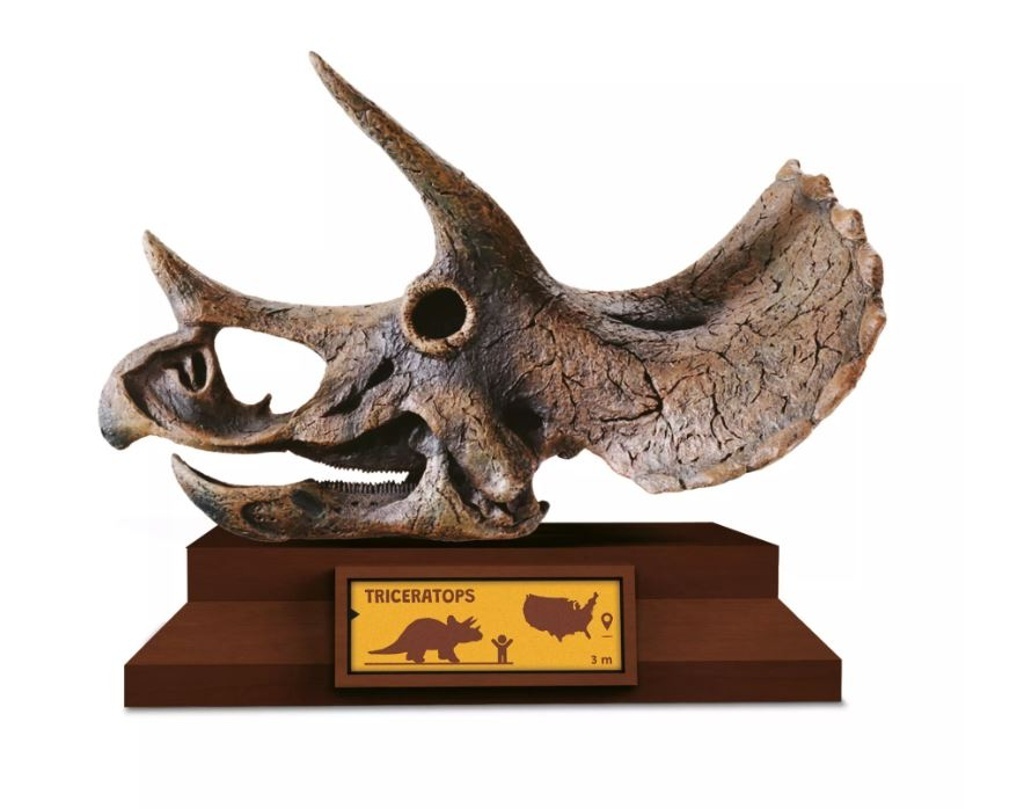 Lovci Lebek Triceratops