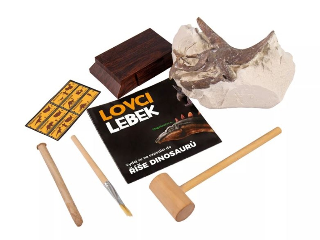 Lovci Lebek Pachycephalosaurus