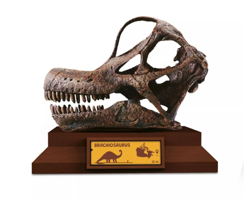 Lovci Lebek Brachiosaurus