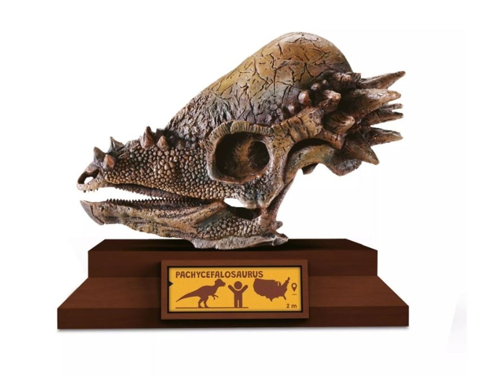 Lovci Lebek Pachycephalosaurus