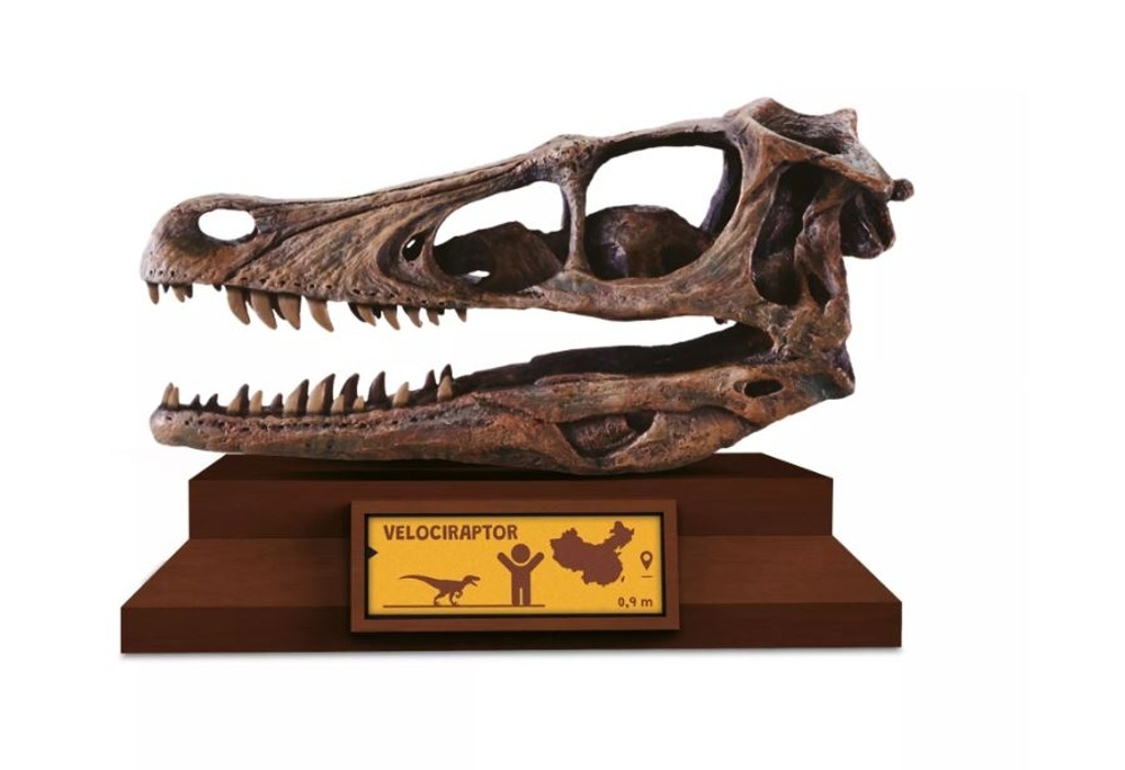 Lovci Lebek Velociraptor
