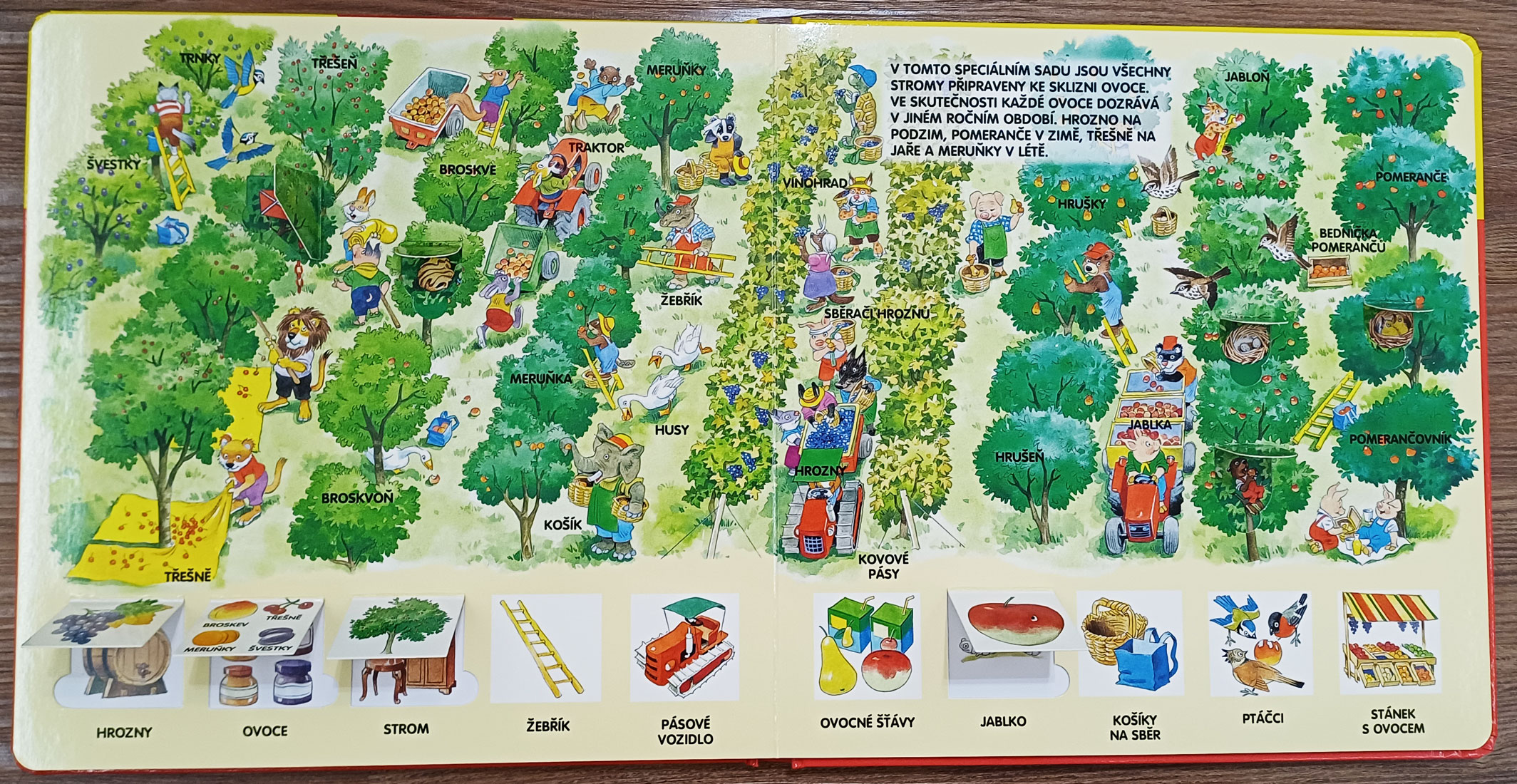 Farma Knížka se 60 okénky