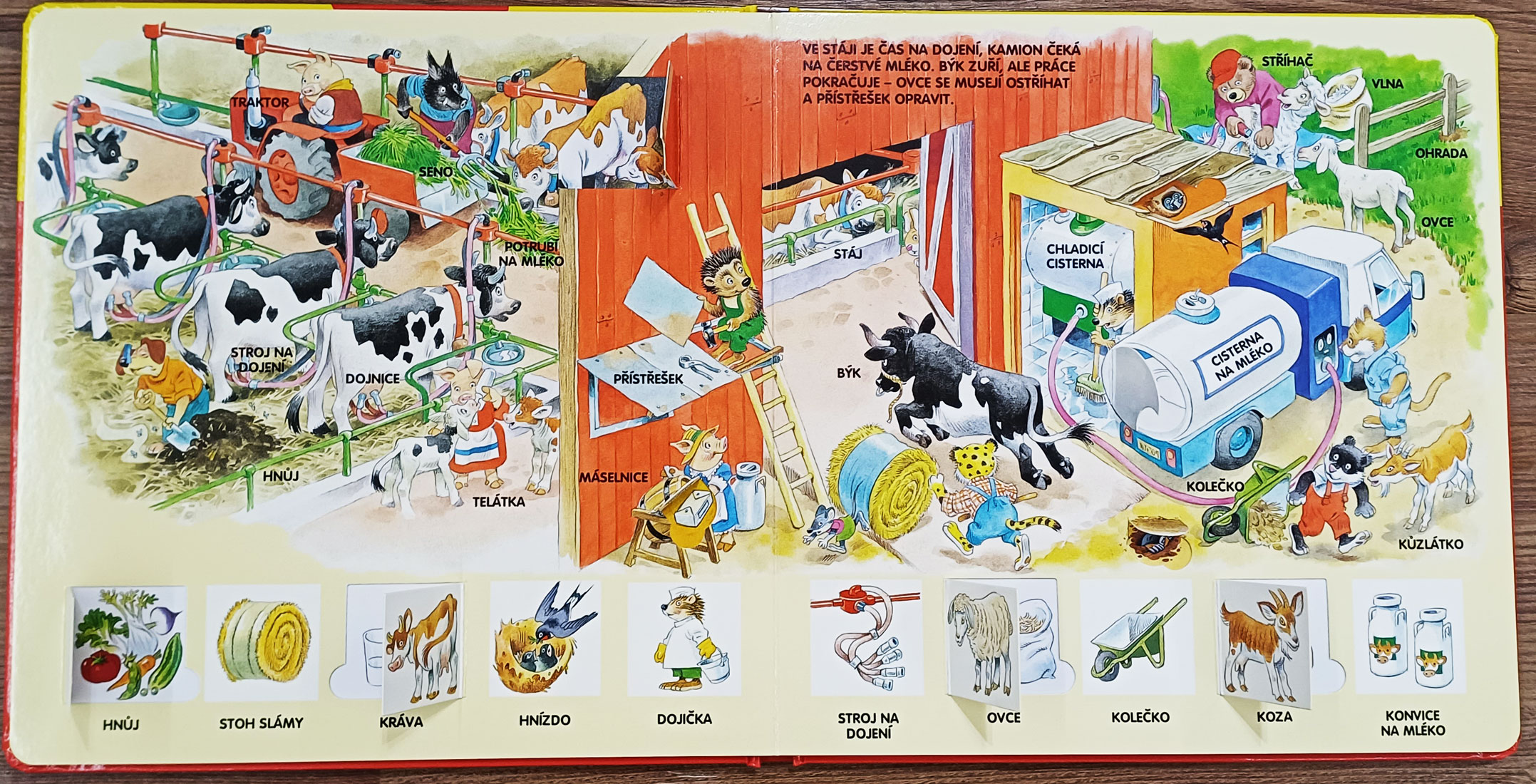 Farma Knížka se 60 okénky