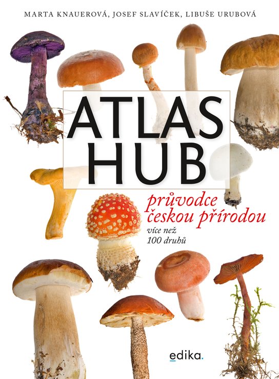 Atlas hub
