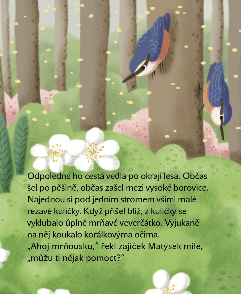 Matýskovy dobré skutky 