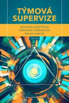 Týmová supervize