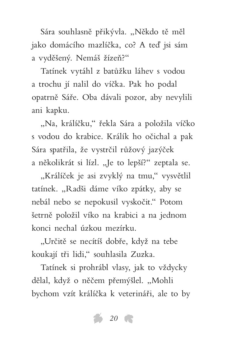 Příběhy se šťastným koncem - Osamělý králíček