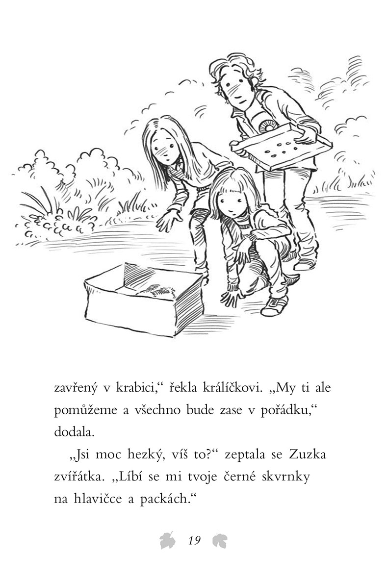 Příběhy se šťastným koncem - Osamělý králíček