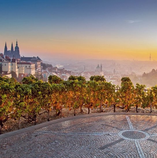 Poznámkový kalendář Praha 2026 - nástěnný kalendář