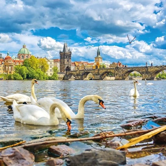 Poznámkový kalendář Praha 2026 - nástěnný kalendář