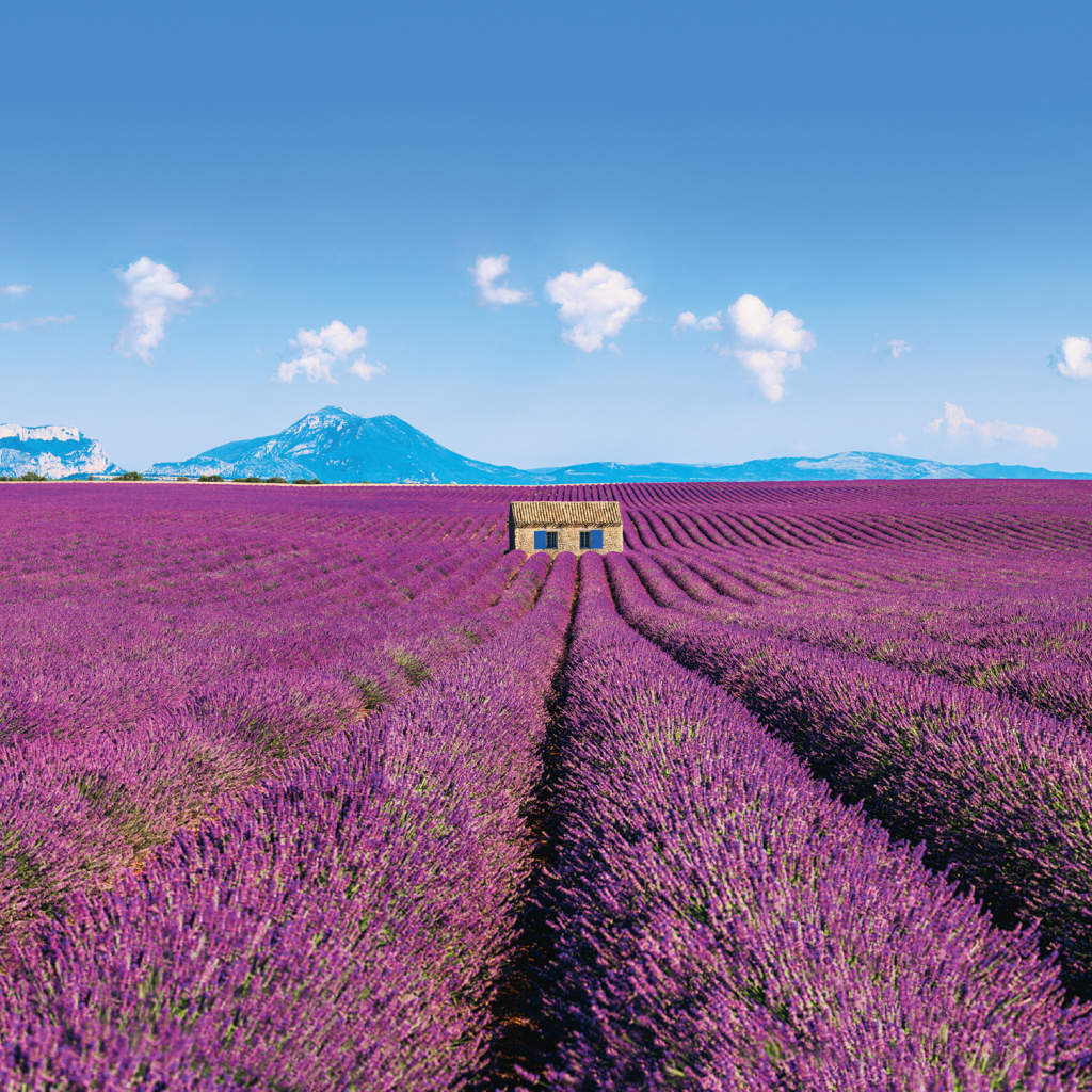Poznámkový kalendář Provence 2026 - nástěnný kalendář