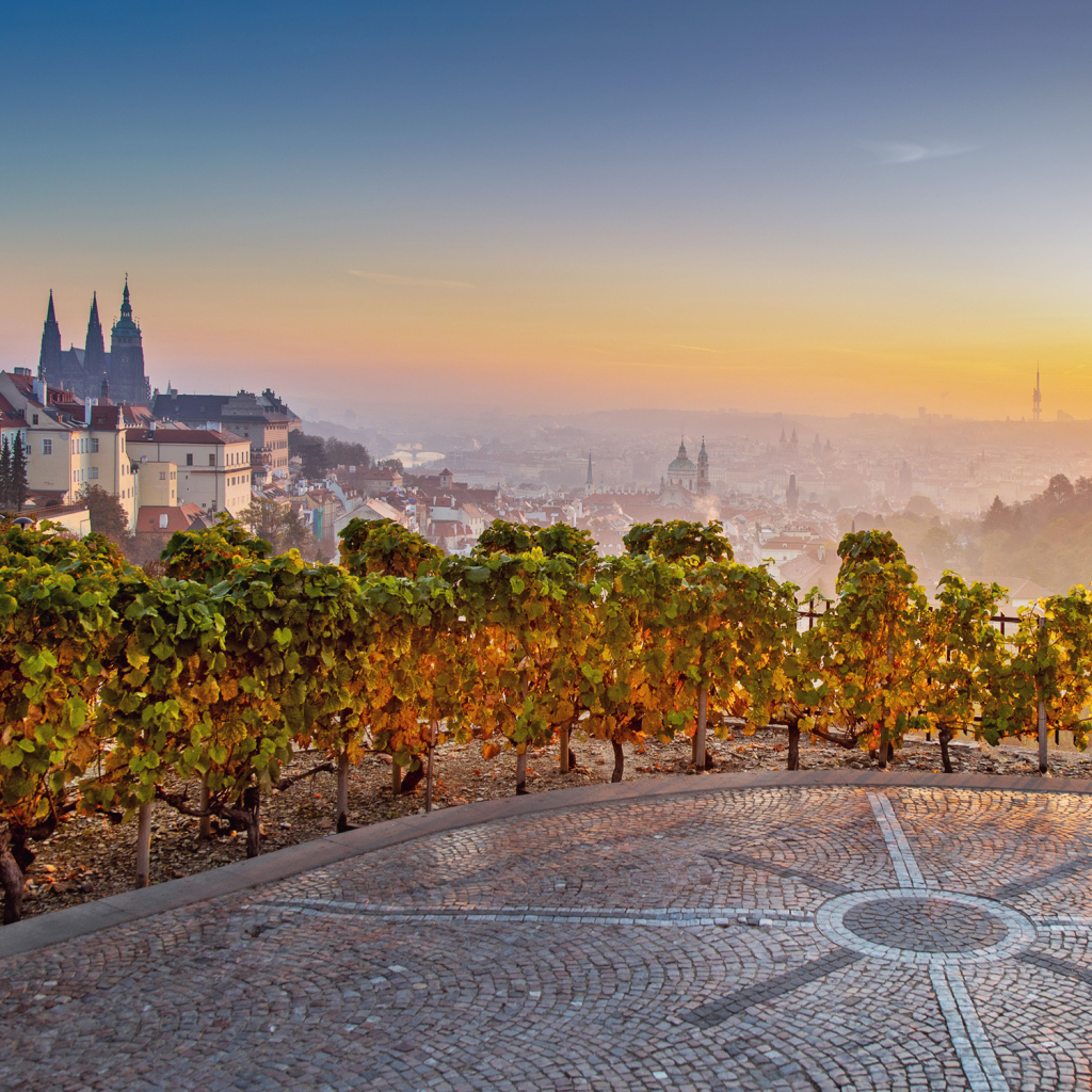 Poznámkový kalendář Praha 2026 - nástěnný kalendář