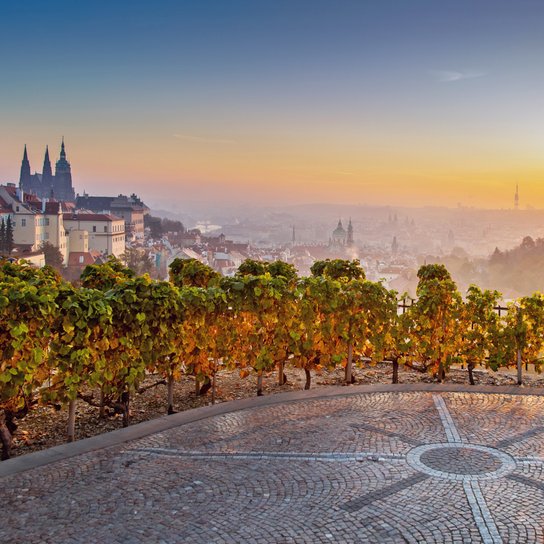 Poznámkový kalendář Praha 2026 - nástěnný kalendář