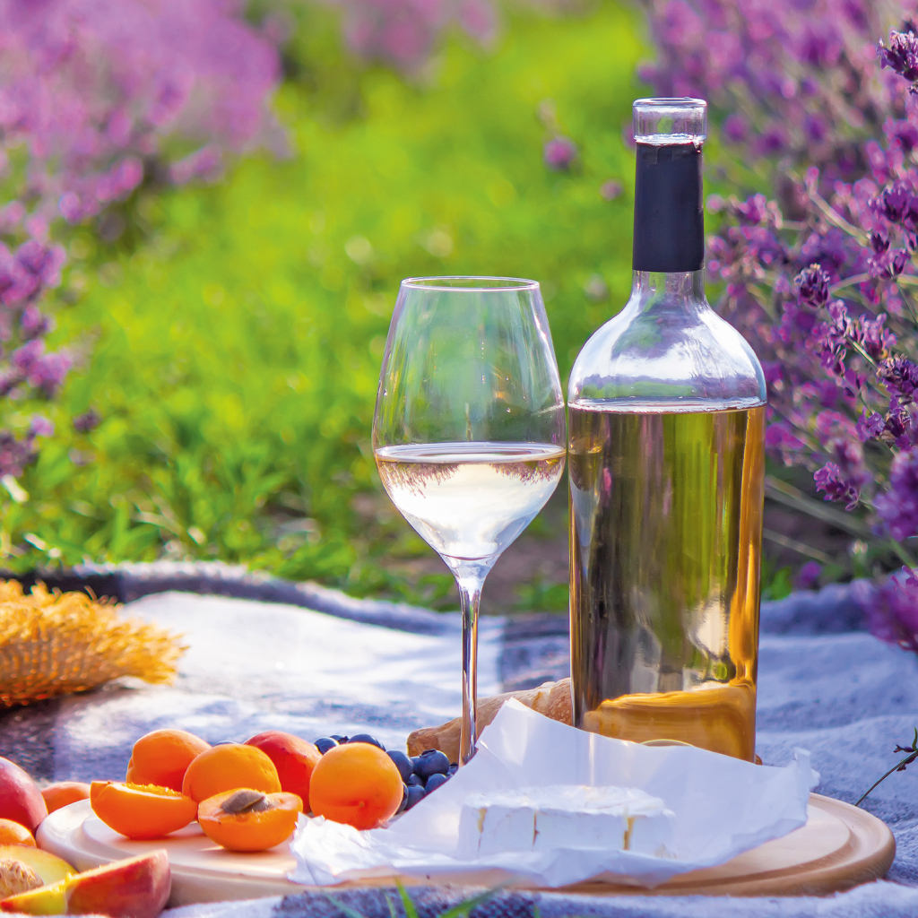 Poznámkový kalendář Provence 2026 - nástěnný kalendář