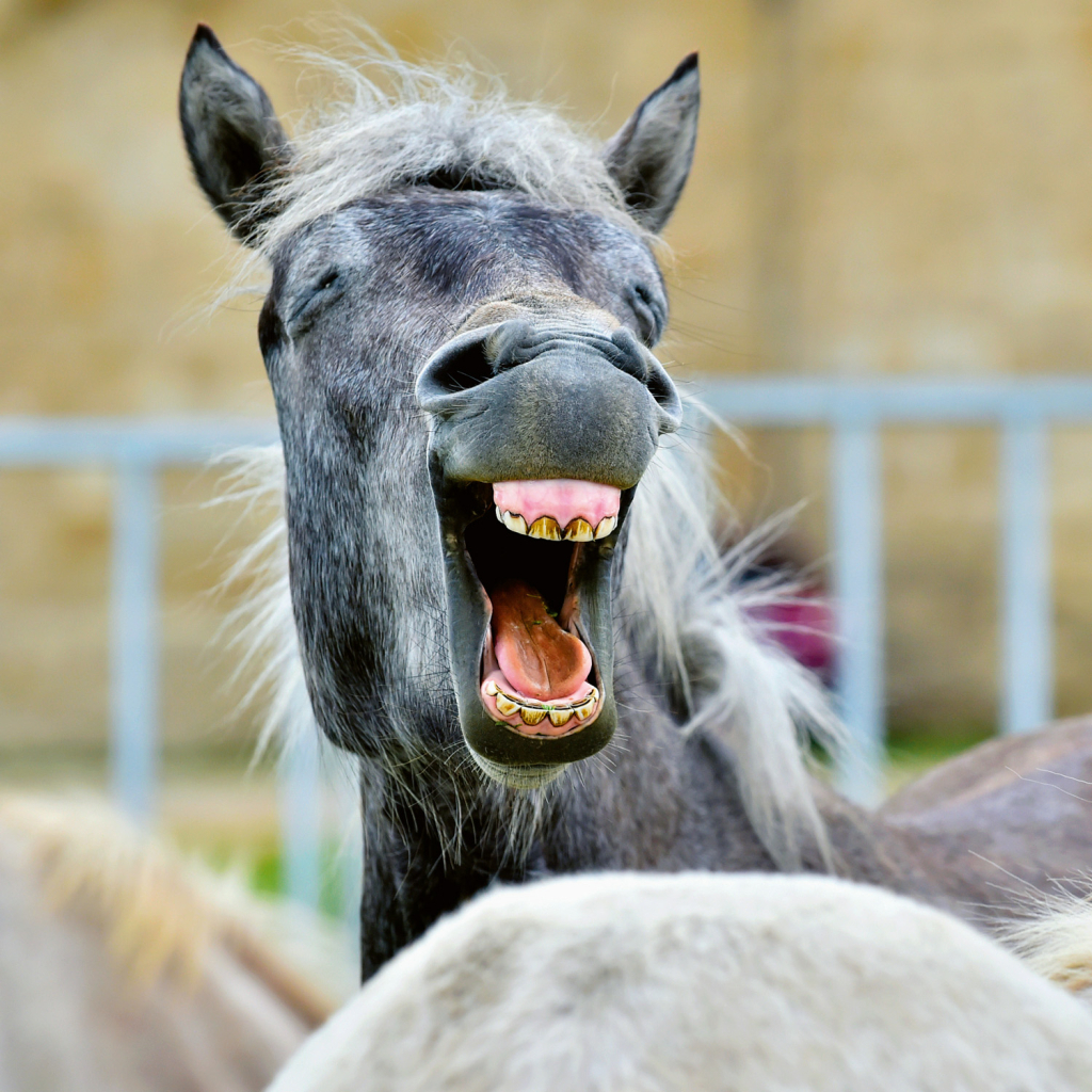 Poznámkový kalendář Úsměv, prosím 2026 - nástěnný kalendář