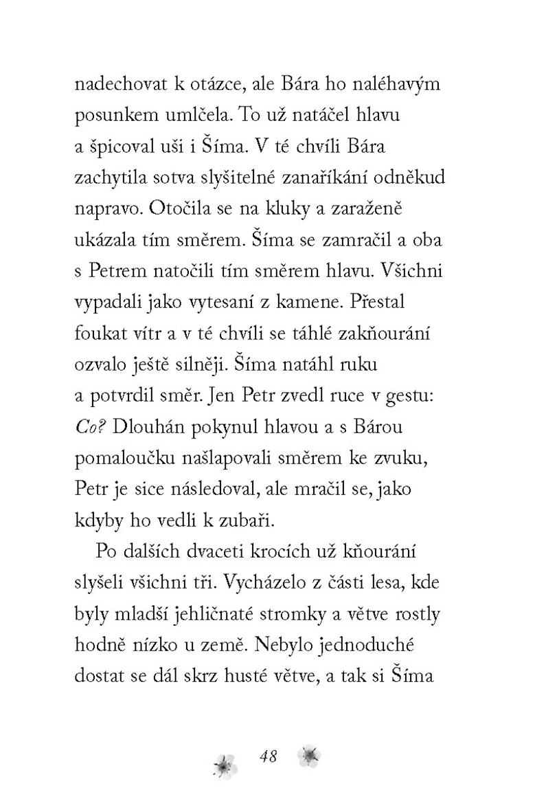 Nové příběhy se šťastným koncem – Zvědavá lištička