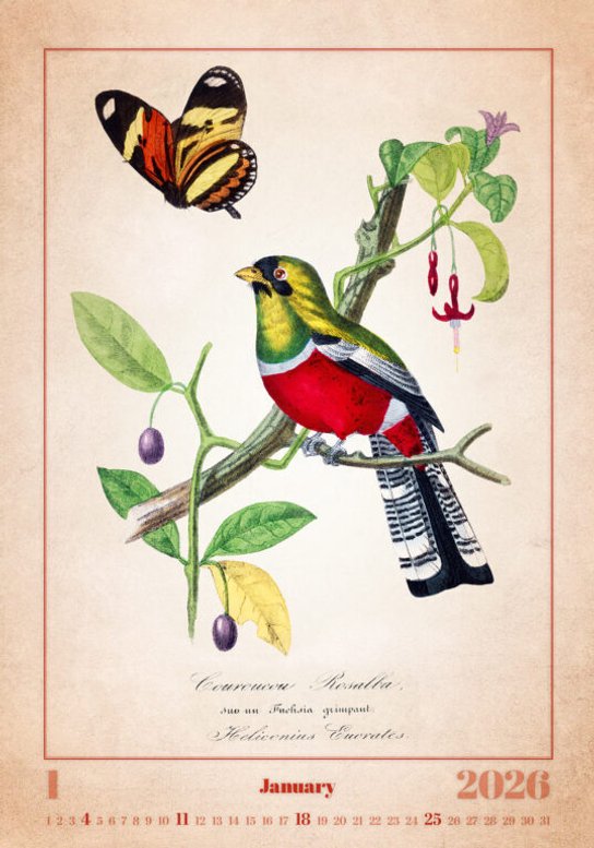 Aviarium 2026 - nástěnný kalendář