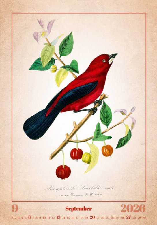 Aviarium 2026 - nástěnný kalendář