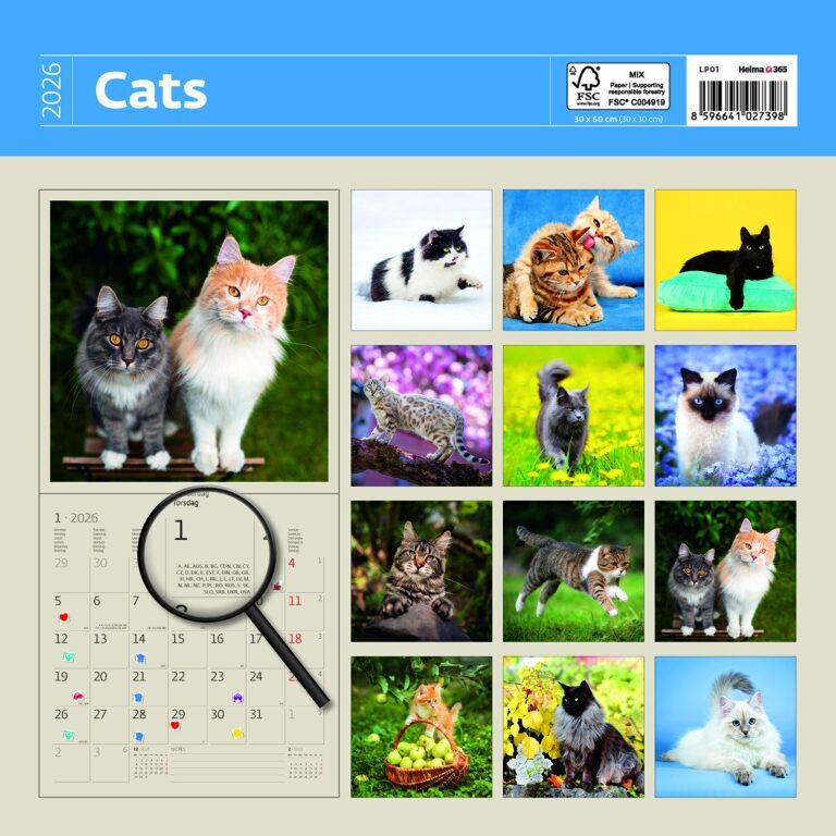 Cats 2026 - nástěnný kalendář
