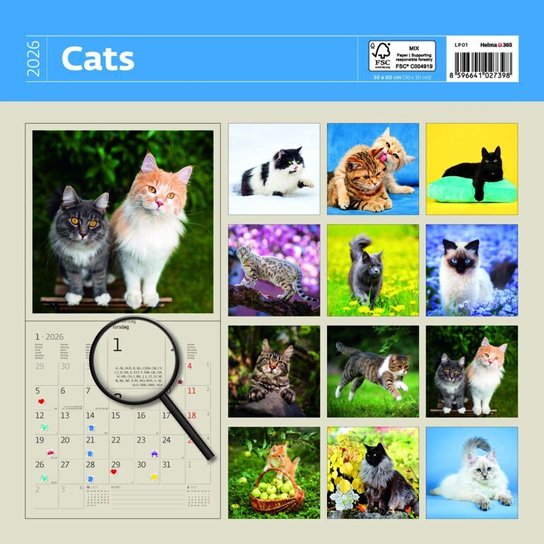 Cats 2026 - nástěnný kalendář