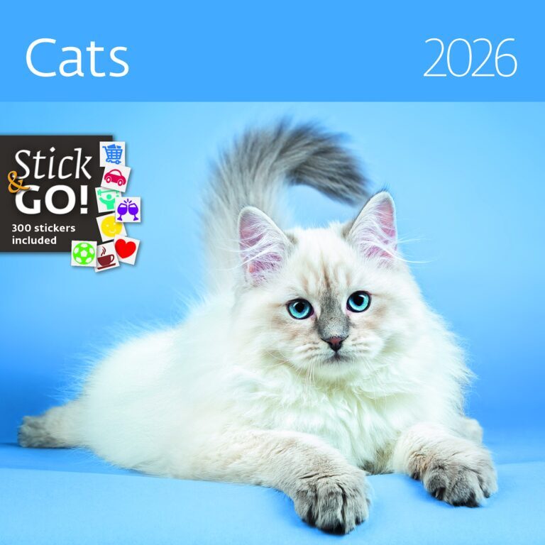 Cats 2026 - nástěnný kalendář