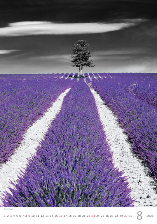 Colour Art 2026 - nástěnný kalendář