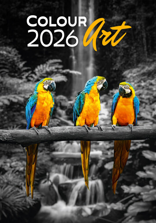Colour Art 2026 - nástěnný kalendář