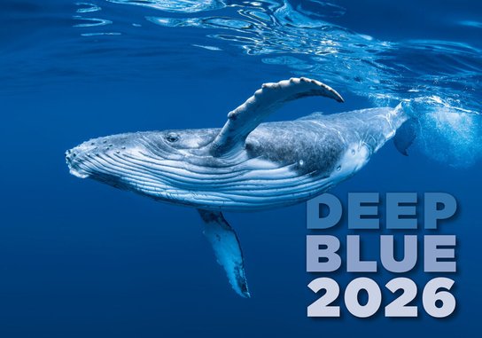 Deep Blue 2026 - nástěnný kalendář
