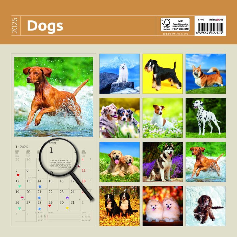 Dogs 2026 - nástěnný kalendář