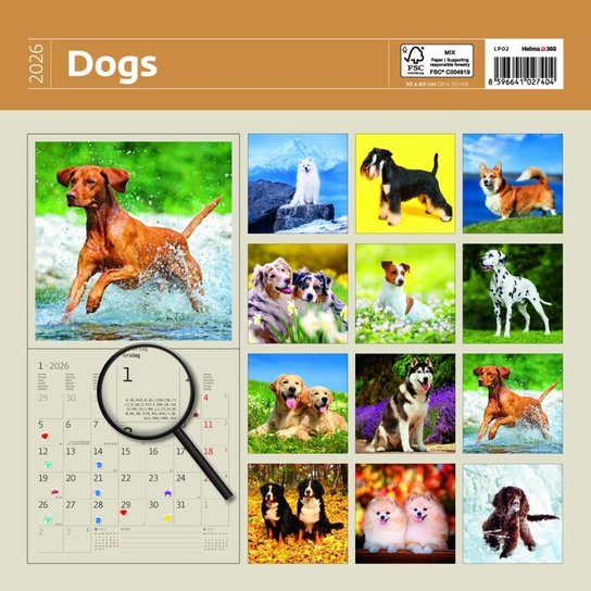 Dogs 2026 - nástěnný kalendář