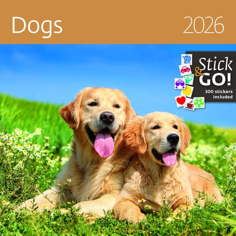 Dogs 2026 - nástěnný kalendář