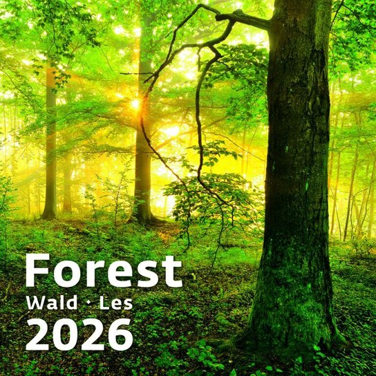 Les 2026 - nástěnný kalendář