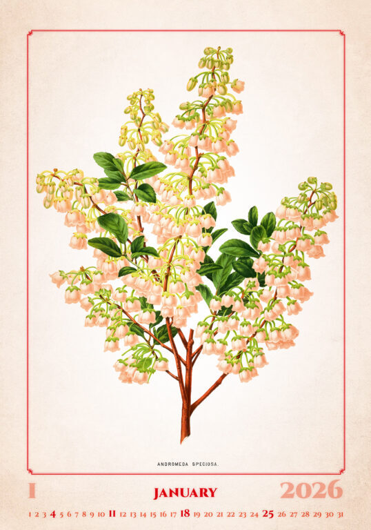 Herbarium 2026 - nástěnný kalendář
