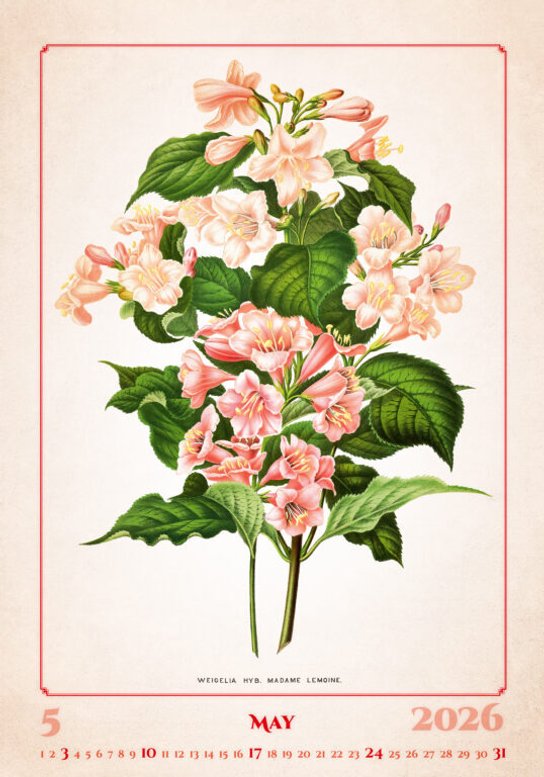 Herbarium 2026 - nástěnný kalendář