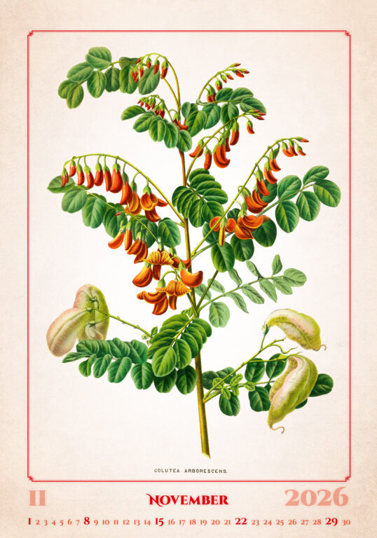 Herbarium 2026 - nástěnný kalendář