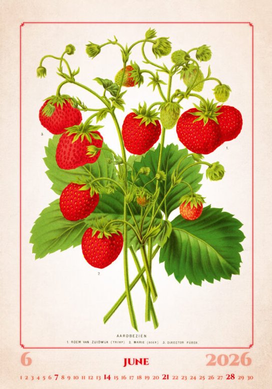 Herbarium 2026 - nástěnný kalendář