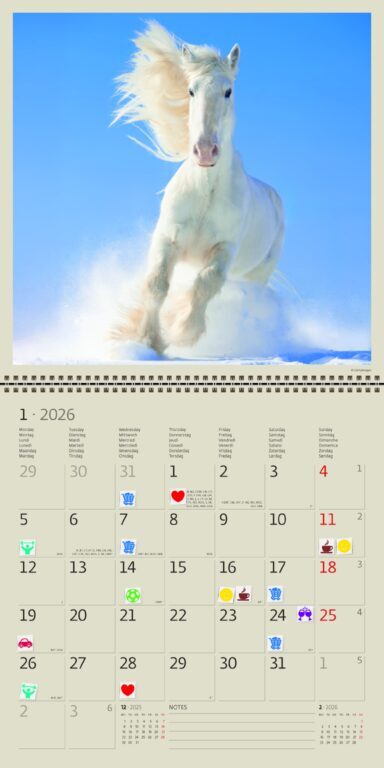 Horses 2026 - nástěnný kalendář